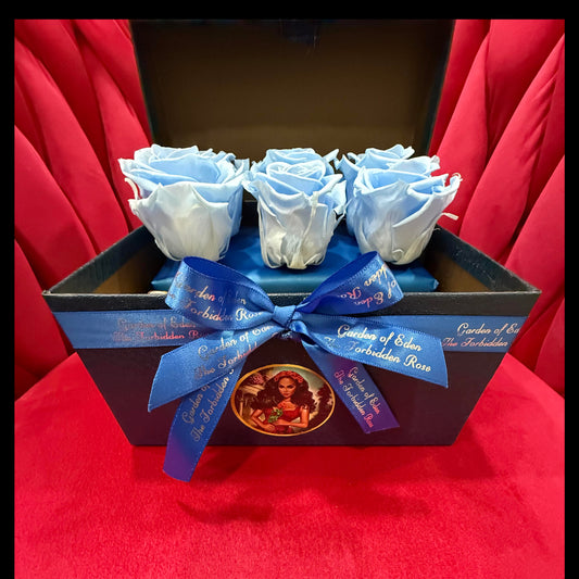 Blue Box Preserved Blue Roses with Chocolates